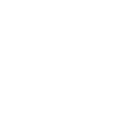 GM